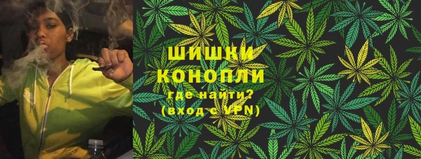 PSILOCYBIN Баксан