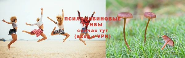 а пвп мука Балахна