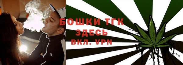 PSILOCYBIN Баксан