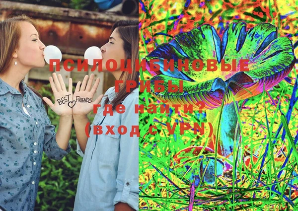PSILOCYBIN Баксан
