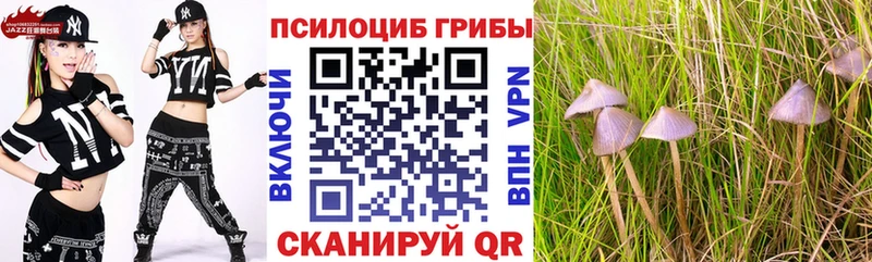 blacksprut вход  Пойковский  Псилоцибиновые грибы Magic Shrooms 